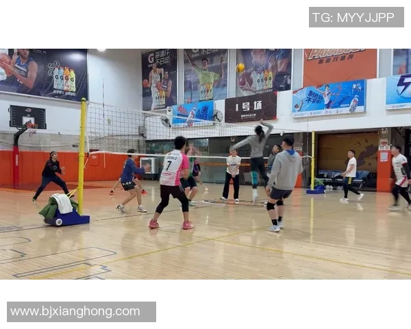 南京排球队的盯防战术解析与比赛表现分析